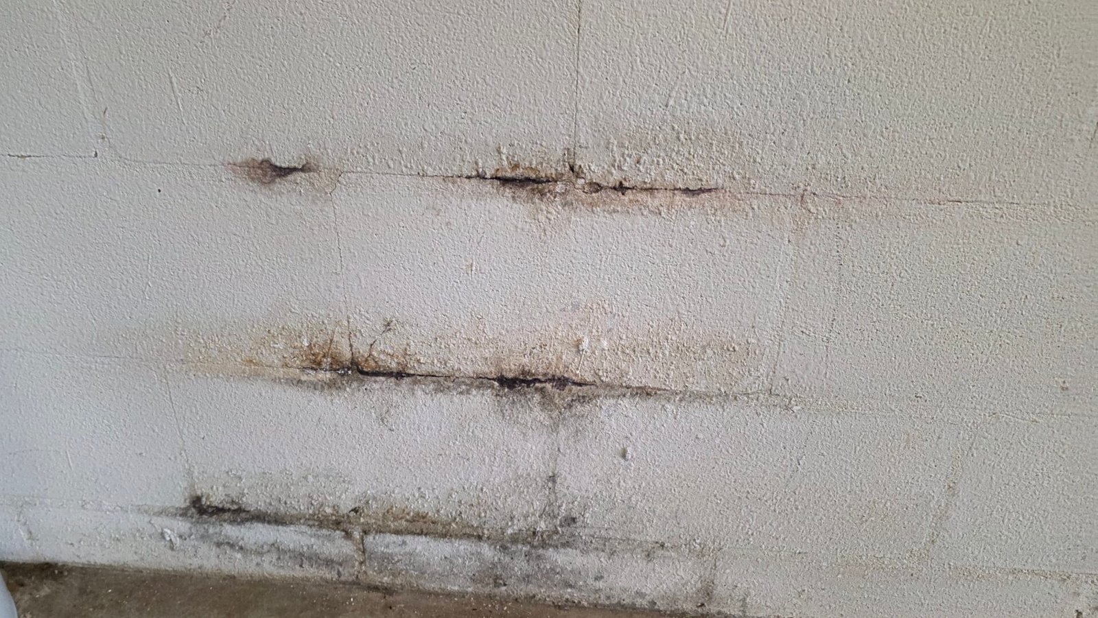 Moisture in walls