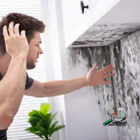 Property Water Damage