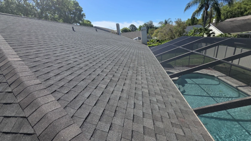 Roof Inspection image with screen over poolside